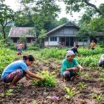 Transformasi Pemerintah Desa Paya Lampung Menuju Kemandirian Ekonomi